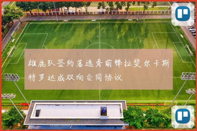 雄鹿队签约落选秀前锋拉斐尔卡斯特罗达成双向合同协议