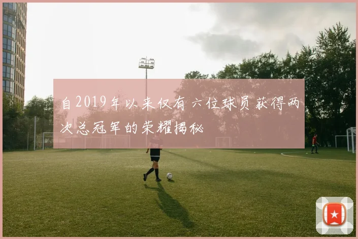 自2019年以来仅有六位球员获得两次总冠军的荣耀揭秘