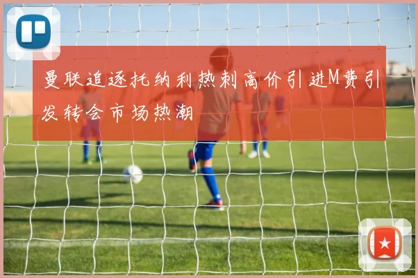 曼联追逐托纳利热刺高价引进M费引发转会市场热潮